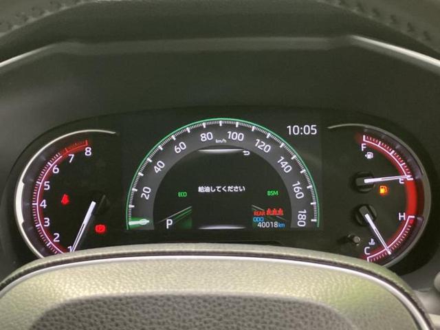 �v�d�b�`�q�r�̓W����ł͎��ۂɌ��āA�G���Ă��Ԃ����I�т��������܂��I�m���̖L�x�ȉc�ƃX�^�b�t���l�X�ȃJ�[���C�t������Ă������܂��I