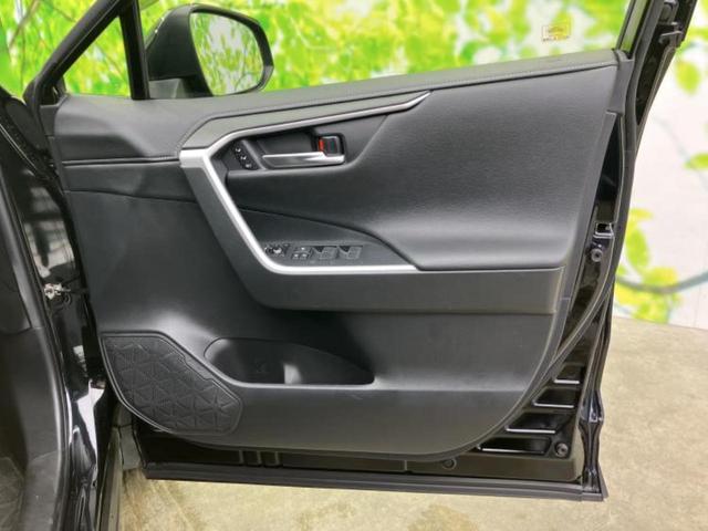 �u���̎Ԃ̎ʐ^�������ƌ������v�u��Ԃ��C�ɂȂ�v�u���̑����͂��Ă���H�v�ǂ�ȏ����ȋ^��ł����C�y�ɂ��₢���킹���������I