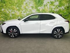 �ףţã��ңӤκ߸˥ڡ������������������ˤ��꤬�Ȥ��������ޤ����ףţã��ңӤϡ֤��������פ��åȡ��ˤ����ͤΥ����饤�դ����Ϥǥ��ݡ��Ȥ������ޤ��� 2