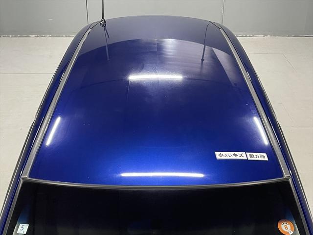 �������L�Y�����J������܂�