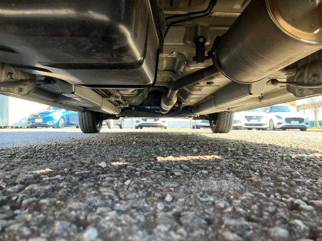 ������猩���V��ł����B