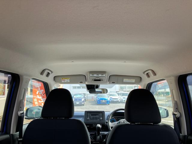 ������猩���V��ł��B