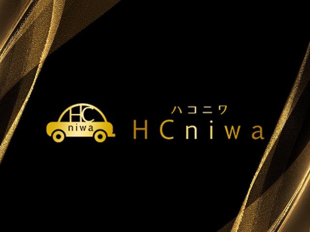 エブリイ ＧＡ　走行距離３６，２８７Ｋｍ　ＨＣ－ＣＡＮ（ハコキャン）　ベット　ＤＣバッテリー電源　換気ファンＸ２　ＥＴＣ　社外１４ＡＷ　２インチリフトアップ　ナビ　フルセグ　バックモニター（29枚目）