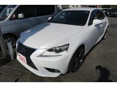 ɣ ɣӣ衡ϡե쥶ѥȡȥҡʥӡե륻 0803214A30230608W002 2