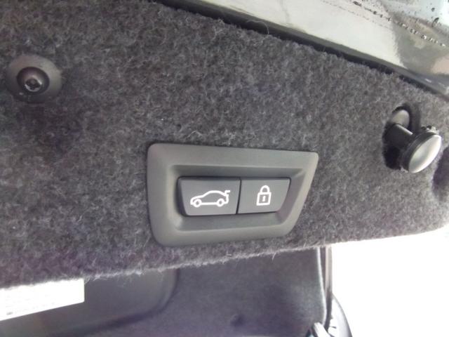 ５シリーズ ５２３ｄマエストロ　９９台限定・ワンオーナー・レザーシート・ＬＥＤヘッドライト・ｈａｒｍａｎ／ｋａｒｄｏｎサラウンド・マルチディスプレイメーター・オートトランク・ソフトクローズドア・ＡＣＣ（23枚目）