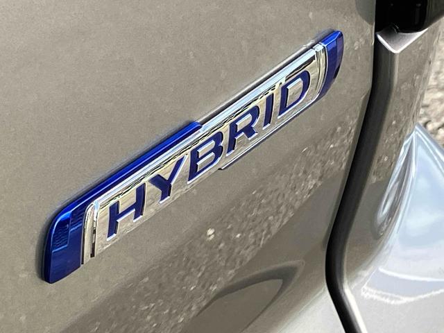 スペーシアカスタム ハイブリッドＸＳターボ　全周囲カメラ　両側電動スライドドア　ナビ　ＴＶ　クリアランスソナー　オートクルーズコントロール　レーンアシスト　衝突被害軽減システム　オートライト　ＬＥＤヘッドランプ　スマートキー（21枚目）