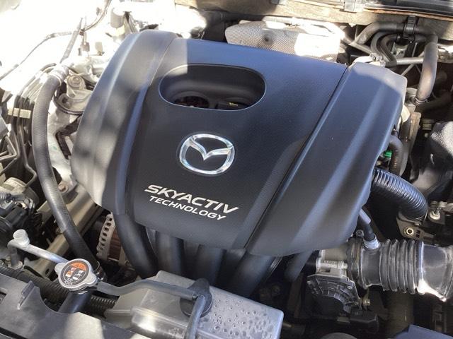 エンジンルームは、当店でクリーニング済みです。