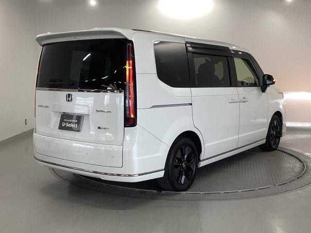 �����̂悤���Y��ɃN���[�j���O����Ă���A�ƂĂ��L���C�ȃ{�f�B�ł���B�O���͂������������Y��ł��B