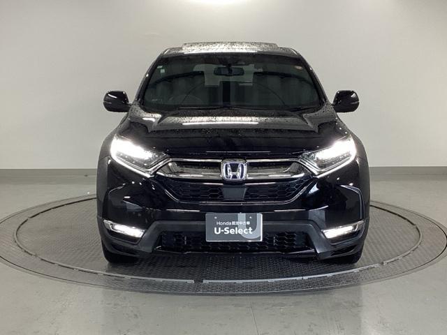 �k�d�c�w�b�h���C�g�𑕔����Ă��܂��B�k�d�c�w�b�h���C�g�͂ƂĂ����邭�A�J�̓����ԑ��s�����S�E���S�ł��B