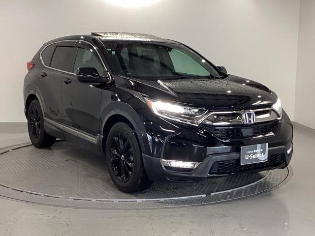 ���S�A���`�����l���������V���[�v�ȊO�ςł��B���i�̃A�V�ɂ������Ă����̈��ł��B�����̂悤�ɁA��Ԃ��ǂ��A�J���[�����O���I�X�X���ł���I�I