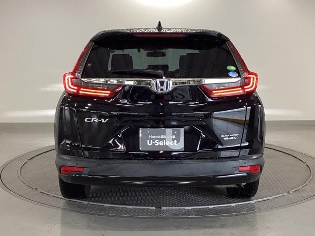 �e�[���Q�[�g�^�C�v�͉J�̓����A���ˏグ�Ń����K���X�̎��F���������Ȃ�̂Ń������C�p�[������ƕ֗��ł��B