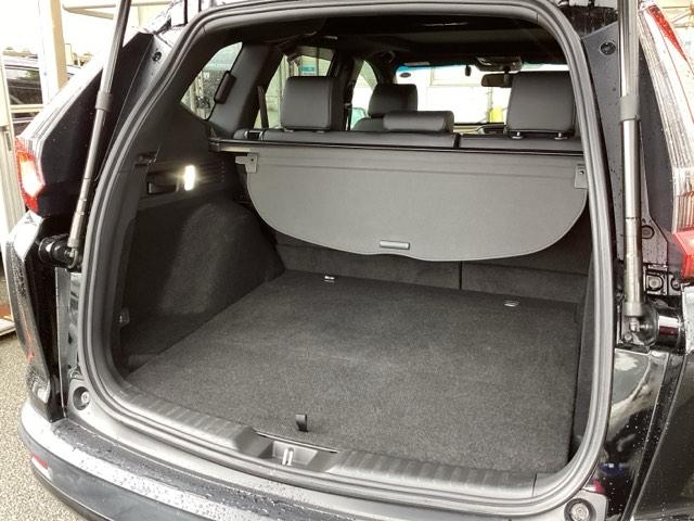 ����ȃe�[���Q�[�g�ł��B���L�A�Ⴂ���ʂő傫�ȉו��̏o�����ꂪ�ȒP�ɂȂ�܂��B