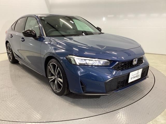 �X�|�[�e�B�[�ȃt�H�����̃n�b�`�o�b�N�ł�