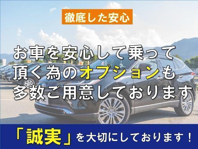 ２０Ｘｔ　エクストリーマーＸ　ハイパールーフレール　地デジＴＶ　防水シート　バックカメラ　オートエアコン　ＨＩＤライト　フォグランプ　電動格納ミラー　インテリキー　キーレス　全席シートヒーター(74枚目)