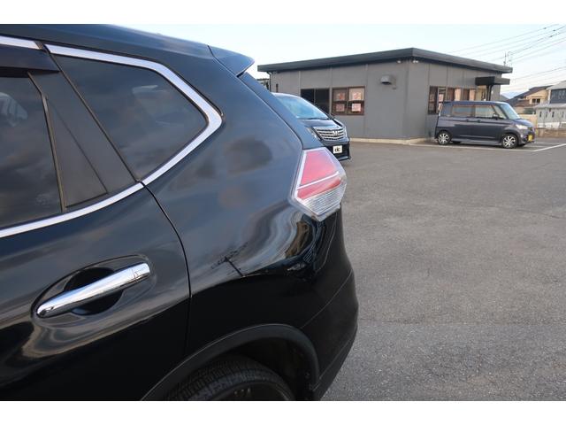 �����A�t�F���_�[���傫�Ȃւ��݂�ڗ������Ȃ��Y��ł���