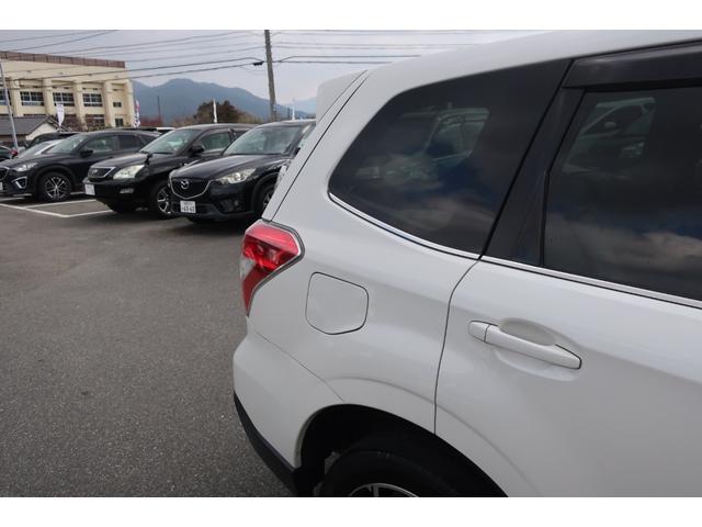 �E���A�t�F���_�[���傫�Ȃւ��݂�ڗ������Ȃ��Y��ł���