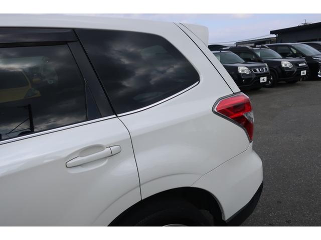 �����A�t�F���_�[���傫�Ȃւ��݂�ڗ������Ȃ��Y��ł���