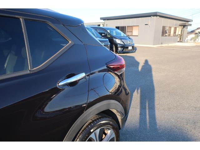 �����A�t�F���_�[���傫�Ȃւ��݂�ڗ������Ȃ��Y��ł���