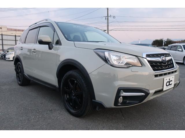 フォレスター X-ブレイク 後期 アイサイトVer3 追従クルコン 地デジTV Bluetooth バックカメラ ハーフレザーシート&ヒーター パワーシート ETC 前後ドラレコ SRH 社外17インチAW オートライト(57枚目)