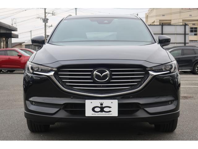 ��l�C�r�t�u�ԁB���ʂ���̃t�����g�}�X�N�͓��X���镗�i�B