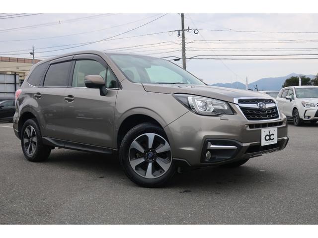 �l�C�I�v�V�����̋��ʖ����R�[�e�B���O���{�H����΁A���̂悤�Ȕ������Ń{�f�B�����₩�Ɂ�