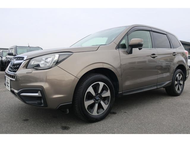 �t�H����������������������r�t�u�B�X���𑖂�p�͑��݊���ł���