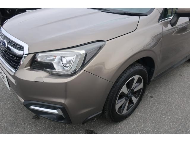 �t�F���_�[���傫�Ȃւ��݂�ڗ������Ȃ��Y��ł��I