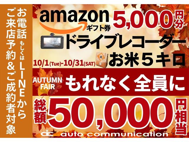 ２０Ｘ　後期　デルタフォース１６インチＡＷ　ＢＦグッドリッチタイヤ　ラプター塗装　バグガード　ハイパールーフレール　全席シートヒーター　地デジＴＶ　ＣＤ　ＥＴＣ　オートライト　電動格納ドアミラー　寒冷地仕様車（画像3）