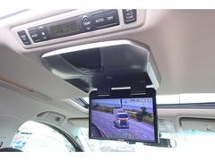 ���ʥ�˥����դ��ǥ��󥰥ɥ饤�֤��Ŭ�Ǥ��� 6