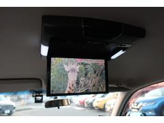 ���ʥ�˥����դ��ǥ��󥰥ɥ饤�֤��Ŭ�Ǥ��� 4