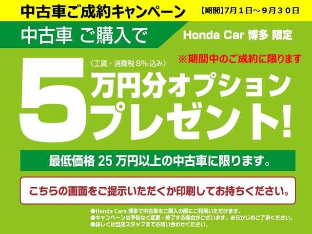 ハイブリッド(2枚目)