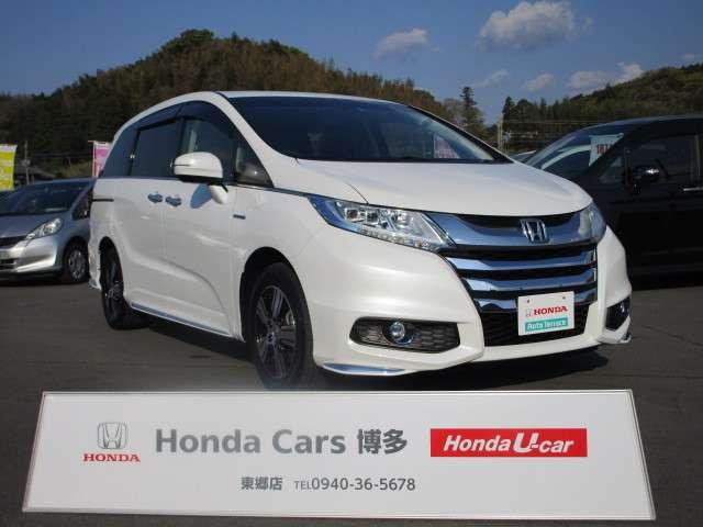 ハイブリッド(4枚目)
