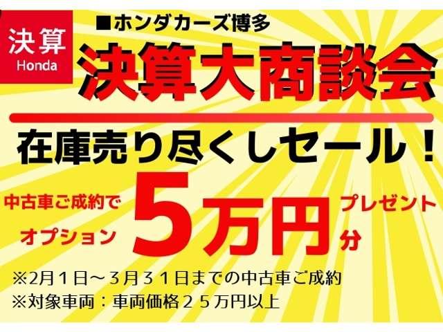 13G・Lパッケージ(2枚目)