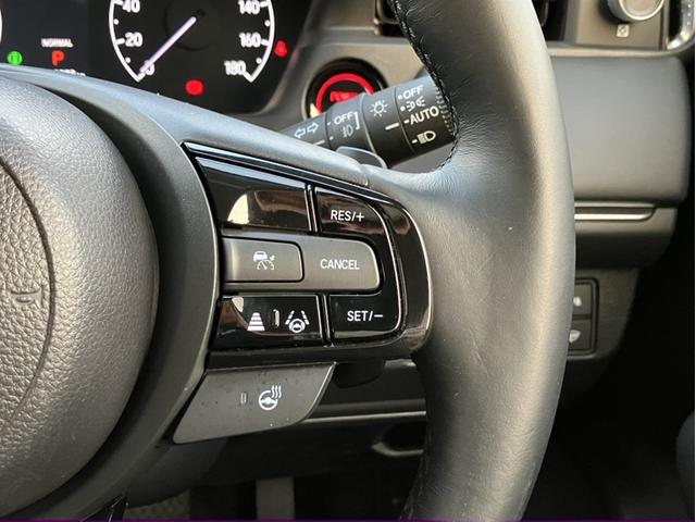 �X�C�b�`����ň�葬�x�ɑ��s�𐧌�B�����A�����̏��Ȃ��������H�Ȃǂł̉^�]�������K�ɂ���N���[�Y�R���g���[���𑕔��B