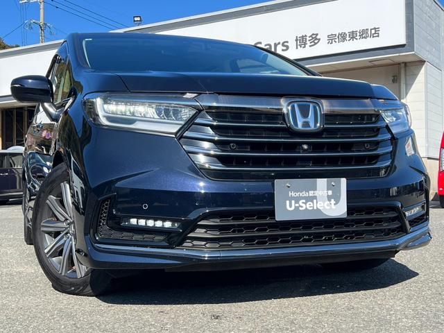 �L���A�����܂ŏƂ炵�A��ԁA�J�V���̈��S�������コ���Ă����k�d�c�w�b�h���C�g�B