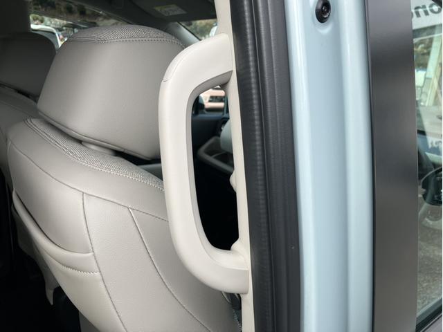 ���~����y����ł���