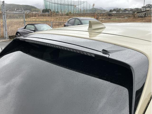 �e�[���Q�[�g�X�|�C���[��