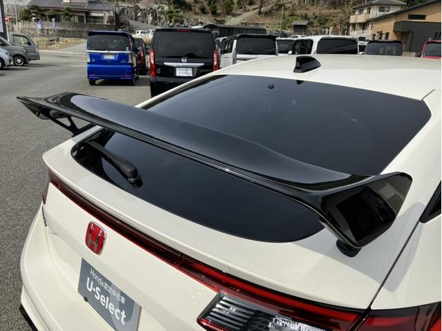 �^�C�v�q��p���A�X�|�C���[��