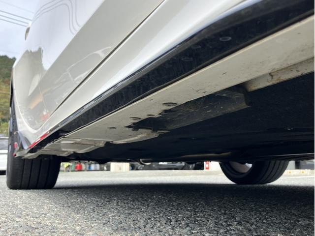 �T�C�h�X�J�[�g�i�^�]�ȑ��j