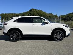 �ۥ����������¿�ʤ�Ǥϰ���򼫿�����äƤ��Ϥ��פ��ޤ��� 5