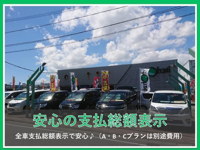 V SDナビフルセグTV フリップダウンモニター バックカメラ 両側パワースライドドア スマートキー プッシュスタート LEDライト クルーズコントロール アイドリングストップ アルミ 2年保証(34枚目)