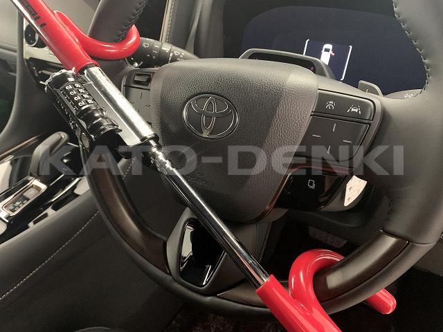 LC LC500 Sパッケージ(24枚目)