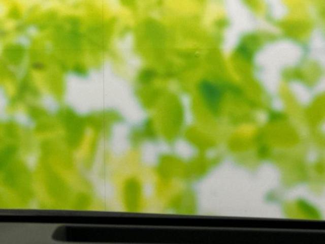 カローラツーリング ハイブリッドダブルバイビー　新品タイヤ／保証書／ディスプレイオーディオ＋ナビ９インチ／トヨタセーフティセンス／車線逸脱防止支援システム／シート　ハーフレザー／ヘッドランプ　ＬＥＤ／ＥＴＣ／ＥＢＤ付ＡＢＳ　衝突被害軽減システム（41枚目）