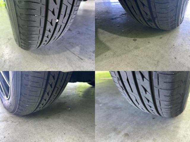 �u���̎Ԃ̎ʐ^�������ƌ������v�u��Ԃ��C�ɂȂ�v�u���̑����͂��Ă���H�v�ǂ�ȏ����ȋ^��ł����C�y�ɂ��₢���킹���������I