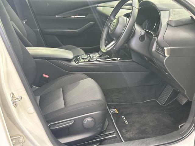 �u���̎Ԃ̎ʐ^�������ƌ������v�u��Ԃ��C�ɂȂ�v�u���̑����͂��Ă���H�v�ǂ�ȏ����ȋ^��ł����C�y�ɂ��₢���킹���������I