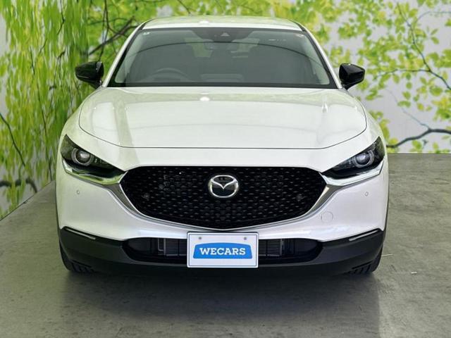 ������̂��Ԃ͂������ł��傤���H�����ł��C�ɂȂ��Ă��������܂����琥�񂨖₢���킹���������I����ɂ��Ԃ̏ڍׂ������肢�����܂��I