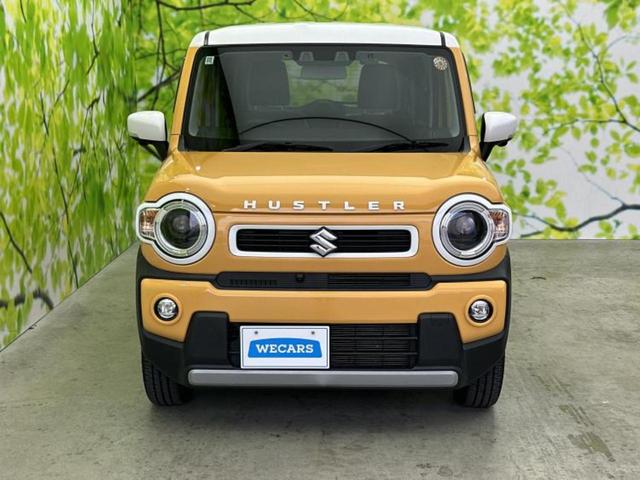 ������̂��Ԃ͂������ł��傤���H�����ł��C�ɂȂ��Ă��������܂����琥�񂨖₢���킹���������I����ɂ��Ԃ̏ڍׂ������肢�����܂��I