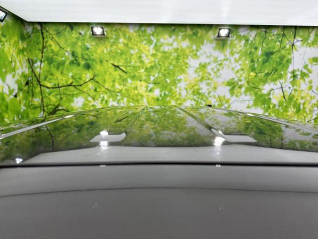 デイズルークス Ｘ　Ｖセレクション　新品タイヤ／保証書／社外　ＳＤナビ／衝突安全装置／両側電動スライドドア／アラウンドビューモニター／ヘッドランプ　ＬＥＤ／Ｂｌｕｅｔｏｏｔｈ接続／ＥＴＣ／ＥＢＤ付ＡＢＳ／横滑り防止装置　全周囲カメラ（47枚目）