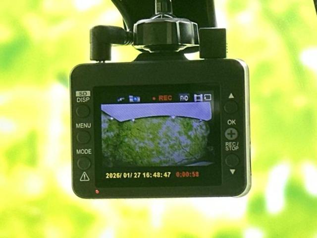 �v�d�b�`�q�r�̓W����ł͎��ۂɌ��āA�G���Ă��Ԃ����I�т��������܂��I�m���̖L�x�ȉc�ƃX�^�b�t���l�X�ȃJ�[���C�t������Ă������܂��I