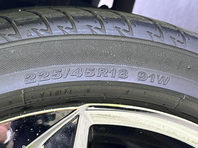 �u���̎Ԃ̎ʐ^�������ƌ������v�u��Ԃ��C�ɂȂ�v�u���̑����͂��Ă���H�v�ǂ�ȏ����ȋ^��ł����C�y�ɂ��₢���킹���������I